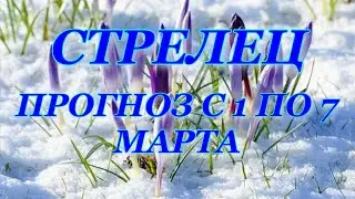 Стрелец  Прогноз с 1 по 7 марта
