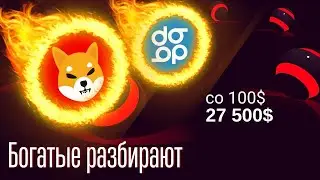 THE RICH WILL SHAVE AGAIN | SHIBA INU COIN CRYPTOCURRENCY FOR BEGINNERS 2023