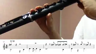 Hide And Seek - Joshua Redman Transcription(Flute Version)+Sheet Music 재즈플루트 악보첨부 Jazz Flute PDF