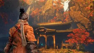 Vibe Check: Sekiro