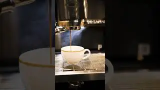 The Coffee Journey