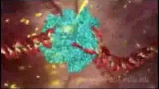 Molecular Visualizations of DNA