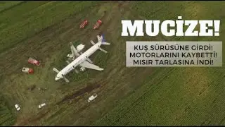 Mısır tarlasına mucizevi iniş