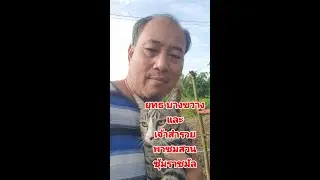 พาชมสวน ซุ้มราชมัล