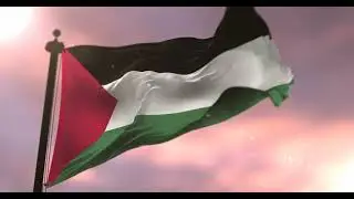 PALESTINE SUNSET | علم فلسطين للمونتاج مجاني
