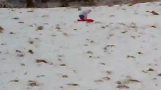 Sledging again 2010