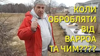 Коли обробляти від варроа та чим для гарного розвитку??? 