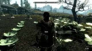 The Elder Scrolls V: SKYRIM 