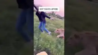 Все роли хороши на своих местах. Главное ничего не перепутать🤣Выгуливаете своих диких кошечек?