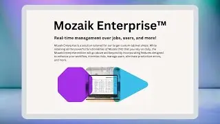Introduction to Mozaik Enterprise™