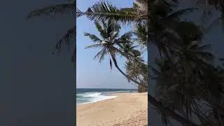 Шри-Ланка в декабре  