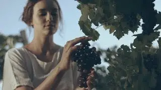 Золотая балка
