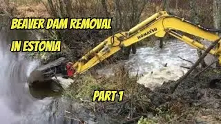 Epic Beaver Dam Excavator Showdown in Estonia! Part 1