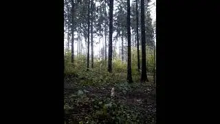 Прыжок через небольшое бревно на мотоцикле GR7 #shorts #эндуро #enduro #gr7