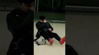 🐺VS🤑