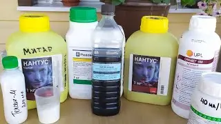 Важная обработка винограда ПОСЛЕ цветения !!!!