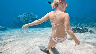 自由潛水/小琉球/厚石/Free diving/Liuqiu/see turtle/ beautiful ocean and diver