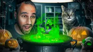 HALLOWEEN : PAS FACILE AVEC UN CHAT ! 🎃🐱