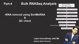 Bulk RNA-Seq Analysis Demystified: Step-by-Step Tutorial Part 4  rRNA removal by #SortMeRNA