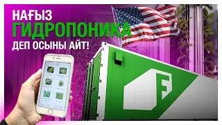 Нағыз гидропоника деп осыны айт!