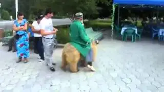 Такого не увидишь в России