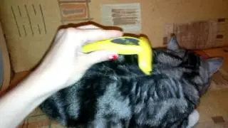 Фуминатор "Foolee" 4.5 см