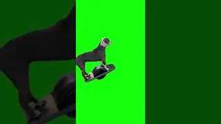 Dog Cruising On An Electric Skateboard - Green Screen