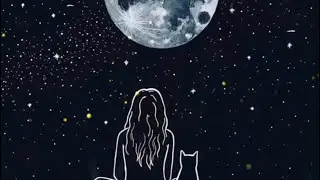ЧТО СКРЫТО ОТ ВАС?🐚