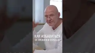 Как Избавиться от СТРЕССА и ТРЕВОГИ? / Павел Пискарёв shorts