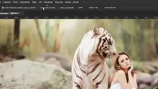 Como dar zoom no Phostoshop completo