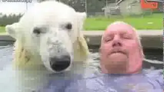 Мужик завёл белого медведя