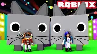 2 GIANT CATS ON THE DOMINUS CHEST! 😱 | Roblox Pet Simulator