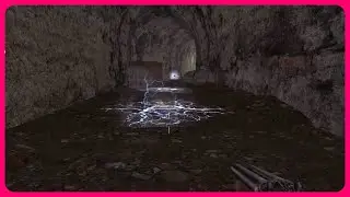 Помочь Лису спасти Лиса от стаи диких собак. STALKER Shadow of Chernobyl. СТАЛКЕР Тень Чернобыля. 3
