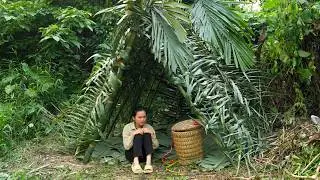 Full video: A homeless woman builds a new shelter – Will that kind man ever find her?