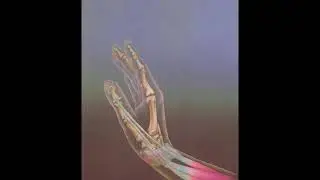 [FREE] Playboi Carti Type Beat “MEASUREMENT OF TIME”