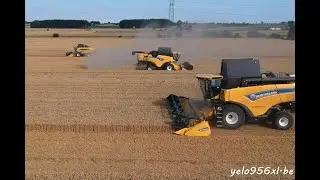 Moisson 100% New Holland