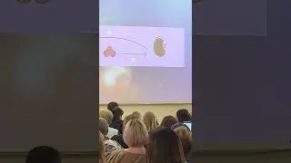 Стресс и как с ним жить? Выступление докторов Подхомутниковых