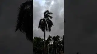 #remal#severeweather#cyclone#storm#rain#rainsounds#trending#viralvideo#viralshort#trendingshort
