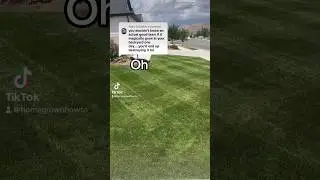 Bro must be blind. #garden #lawnlife #lawncare #landscaping #lawnlove #gardening #greenthumb #diy