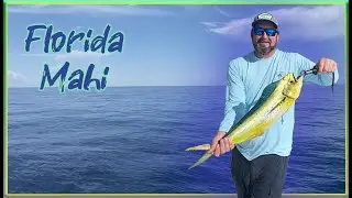 FLORIDA UPDATE! | MAHI MAHI FISHING