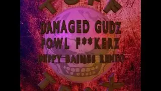 Damaged Gudz - Fowl Fuckerz (Nippy Baines Remix)