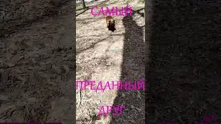 S T A R S K I real life - ТАК ВСТРЕЧАЕТ - ДРУГ ЧЕЛОВЕКА 🐶