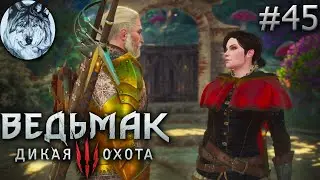 Ведьмак 3: Дикая Охота (PC). Part 45/46. DLC: Кровь и вино. Полное прохождение. Longplay. Игры 2010х