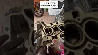 MOTEUR 1.2 PURETECH SEGMENTATION HS !!!