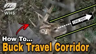 Create Big Buck Travel Corridors