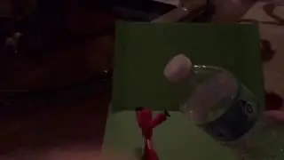 Stikbot does water bottle flip