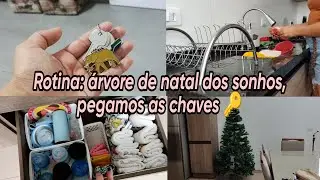 Árvore de natal dos sonhos, cuidado do lar ,mais um sonho sendo realizado 🙏🥺