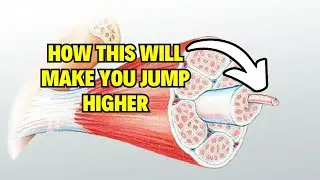 How To Train Your Tendons To Jump Higher And Get Healthier