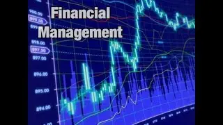 إدارة مالية - Dollar profits and percentage returns