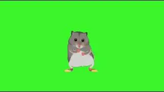 ratinho animado Green screen chroma Key